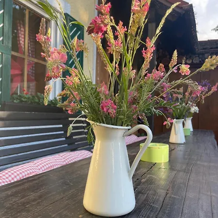 Runas 3* 할버그무스